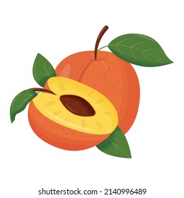 Whole orange peach with green leaf isolated on white background. Flat vector illustration