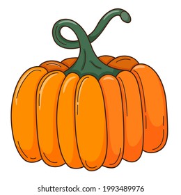 A whole orange pumpkin. A symbol of autumn, harvest. Design element with outline. Doodle, hand-drawn. Flat design. vegetable, melon plant. Color vector illustration. Isolated on a white background