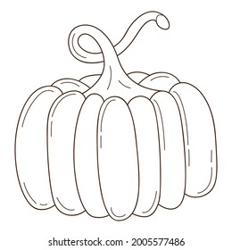 A whole orange pumpkin. A symbol of autumn, harvest. Design element with outline. Doodle, hand-drawn. vegetable, melon plant. Black white vector illustration. Isolated on a white background