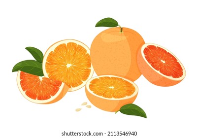 naranja entero y trozo de naranjas. Mezcla de frutas naranjas y rojas. Ilustración vectorial de las naranjas aisladas en el fondo blanco.