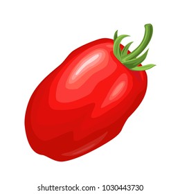 Whole oval tomato. Vector flat color illustration. Isolated on white background.