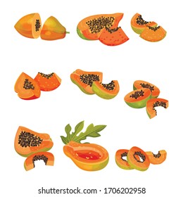 Ganzes Papayaobst und Kreuzung mit orangefarbenem Fleisch und zahlreichen Schwarzen Samen-Vektorillustrationen