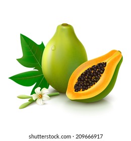 Whole papaya with half, flower and leaf isolated on white background. Vector illustration