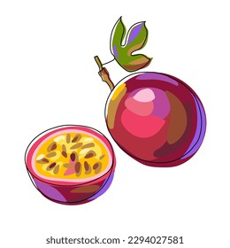 A whole passion fruit with a leaf and half a fruit. Cartoon style isolated on white background. Exotic tropical fruit. Hand drawn colorful passion fruit. Sketch. Vector illustration.