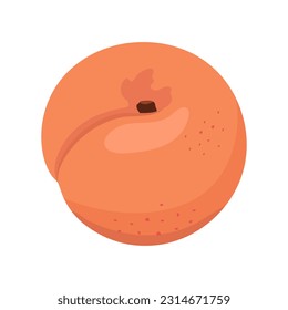 Whole peach. Flat vector colored peach.