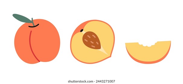 Fruta de melocotón entero, mitad con hoyo y una pieza, estilo de dibujos animados. Ilustración vectorial aislada sobre fondo blanco, dibujado a mano, diseño plano