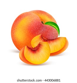 Whole peach fruit and his sliced segments isolated on white background. Realistic vector illustration.