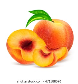 Whole peach fruit and his sliced segments isolated on white background. Realistic vector illustration.