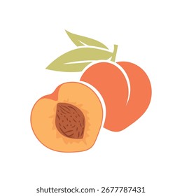 Vector de rebanadas de melocotón y melocotón entero - Ilustración de alimentos de frutas tropicales