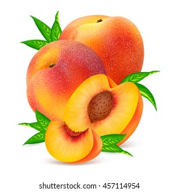 Whole peaches fruit and his sliced segments isolated on white background. Realistic vector illustration.