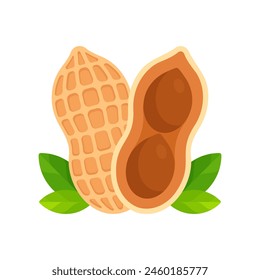 Whole peanut and a halved peanut with seeds visible. Flat icon isolated on white background. Superfood and vegan protein source concept. Great for use in nutritional guides and health food packaging