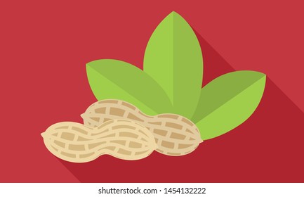 Whole peanut shell icon. Flat illustration of whole peanut shell vector icon for web design