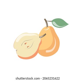 A whole pear fruit and half a pear. Isolated vector image