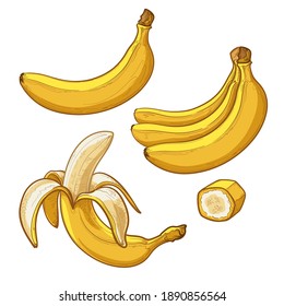 Whole, peeled and sliced bananas. Collection of vector illustration isolated on white background.