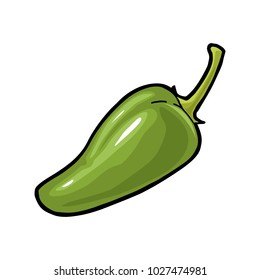 Whole pepper jalapeno. Vector vintage color engraving illustration for menu, poster, label. Isolated on white background. Hand drawn design element