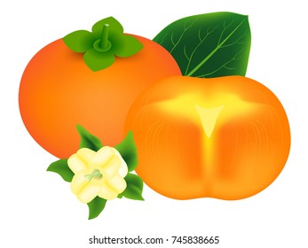 Whole persimmon fruit with leaf, slice and flower isolated on white background.