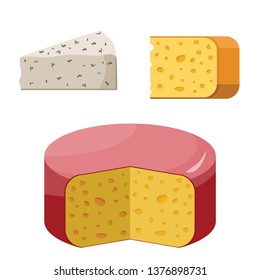 Whole and piece of cheese cottage isolated on white. Milk dairy product. Organic healthy food. Vector illustration in flat style - Vector illustration