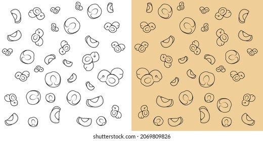 Whole and pieces of apple apricot.pattern of apricot with leaves in two different backgrounds.Apricot fruits in Line art.