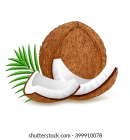 Whole and pieces coconut with leaves isolated on white background. Realistic vector illustration.