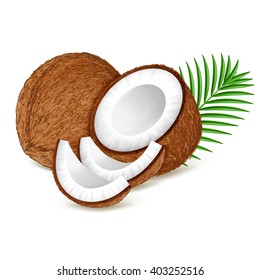 Whole and pieces coconut with leaves isolated on white background. Realistic vector illustration.