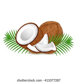 Whole and pieces coconut with leaves isolated on white background. Realistic vector illustration.