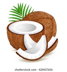 Whole and pieces coconut with leaves isolated on white background. Realistic vector illustration.