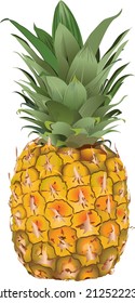 Whole pineapple with green  leaves