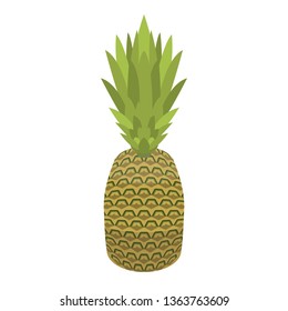 Whole pineapple icon. Isometric of whole pineapple vector icon for web design isolated on white background