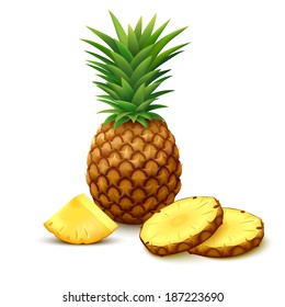 Whole pineapple with round slices and piece isolated on white background. Vector illustration. 