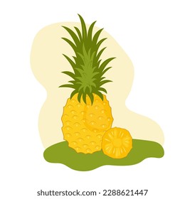 Whole pineapple and slice isolated on white background. Tropical fruits vector illustration in flat style