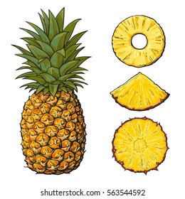 Whole pineapple and three types of slices - round peeled, unpeeled, wedge, sketch style vector illustration isolated on white background. Realistic hand drawing of whole and sliced pineapple