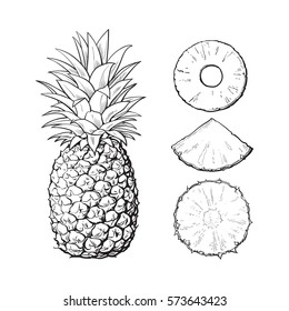 Whole pineapple and three types of slices - round peeled, unpeeled, wedge, sketch style vector illustration isolated on white background. Realistic hand drawing of whole and sliced pineapple
