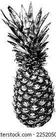 Ilustración vectorial de piña entera en negro 