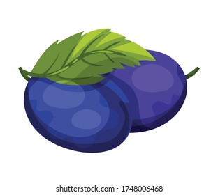 Whole Plum Berry with Green Leaf Isolated on White Background Vector Illustration