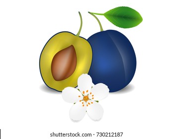 Whole plum with leaves, half with bone and flower, isolated on white background.