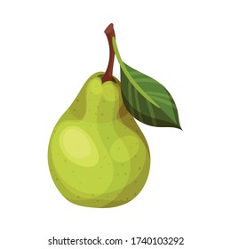 Whole Pomaceous Pear Fruit with Upper Flower Stalk and Green Fibrous Leaf Vector Illustration