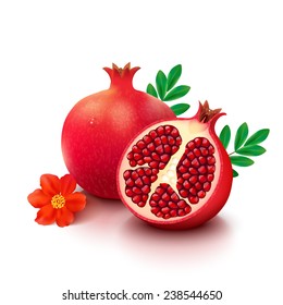 Whole pomegranate with half, flower and leaves isolated on white background. Vector illustration.