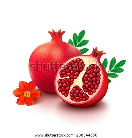 Whole pomegranate with half, flower and leaves isolated on white background. Vector illustration.