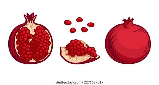 Ganzes Granatapfelanat, halbes Pomegranat und Granatapfelanat. Vektorgrafik von Granatobst im Cartoon-Stil.