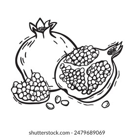 Granada entera y mitades. Vector botánico ilustración en blanco y negro, dibujado a mano sobre fondo aislado en estilo linocut. Dibujo para el diseño de envases de productos alimenticios, cosméticos, recetas