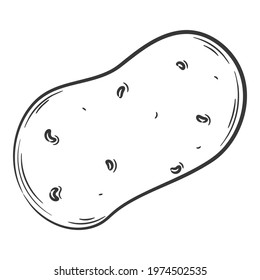 Whole potato. A vegetable in a linear style, drawn by hand. Food ingredient, design element. Line art. Black and white vector illustration. Isolated on a white background
