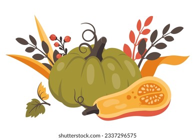 Whole pumpkin and half with fall leaves, berries. Ripe harvest vegetable. Healthy organic food. Vector illustration for autumn design, good nutrition, agricultural harvest, Thanksgiving