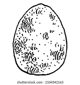 Whole quail egg. Vintage vector engraving black illustration. Isolated on white background. Hand drawn design