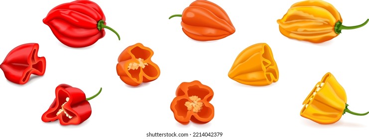 Whole and quarter of habanero. Red, orange, and yellow habanero chili peppers. Capsicum chinense. Hot chili pepper. Fresh organic vegetables. Vector illustration isolated on white background.