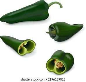 Whole, quarter of Poblano pepper for banners, flyers, posters, social media. Chili pepper. Ancho. Chile ancho. Capsicum annuum. Organic vegetables. Vector illustration isolated on white background.