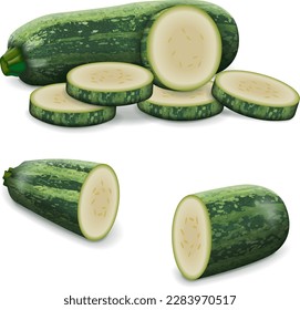 Whole, quarter, slices of Marrow Squash or vegetable marrow. Courgette or marrow. Summer squash. Cucurbita pepo. Cucurbitaceae. Fruits and vegetables. Vector illustration isolated on white background.