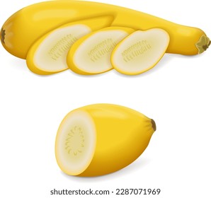 Whole, quarter, slices, and wedges of Crookneck Yellow Squash. Summer squash. Cucurbita pepo. Cucurbitaceae. Fresh, raw fruits and vegetables. Vector illustration isolated on white background.