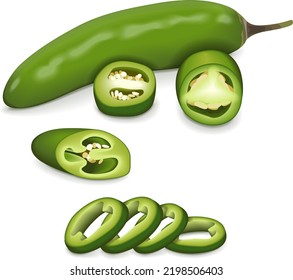 Todo, cuarto, rodajas y trozos de pimientos de serrano verde chileno. Chile serrano o serrano chilis. Pimienta chile. Capsicum annuum. Verduras frescas. Ilustración vectorial aislada en fondo blanco.