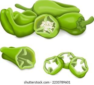 Todo, cuarto, rodajas y trozos de pimientos verdes. Pimientos de padron. Pemento de Herbon. Capsicum annuum. Pimienta chile. Verduras. Ilustración vectorial aislada en fondo blanco.