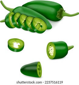 Whole, quarter, slices, and wedges of Green Jalapeño chili peppers. Jalapeno. Capsicum annuum. Chili pepper. Vegetables. Vector illustration isolated on white background.